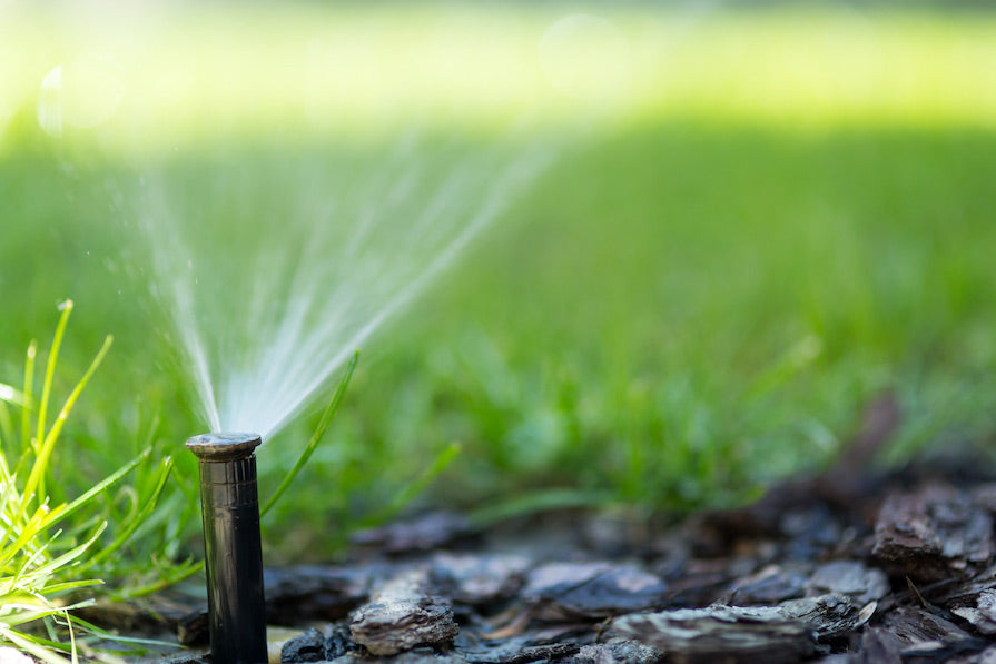 Irrigation Tips For The Summer