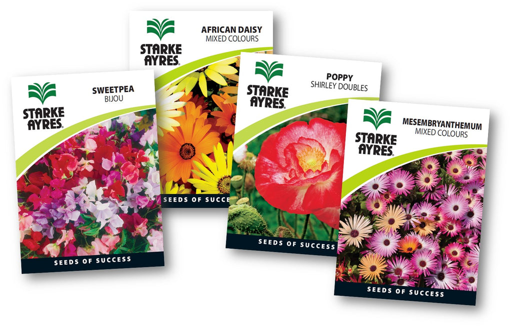 winter flower seed STARKE AYRES SEED FLOWER GARDENER WINTER – Hinterland