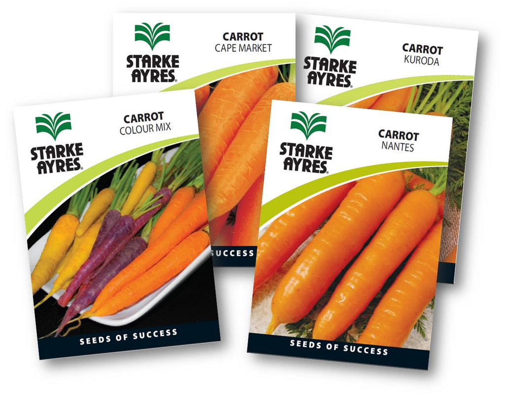 STARKE AYRES SEED VEG POLYPACK CARROTS – Hinterland