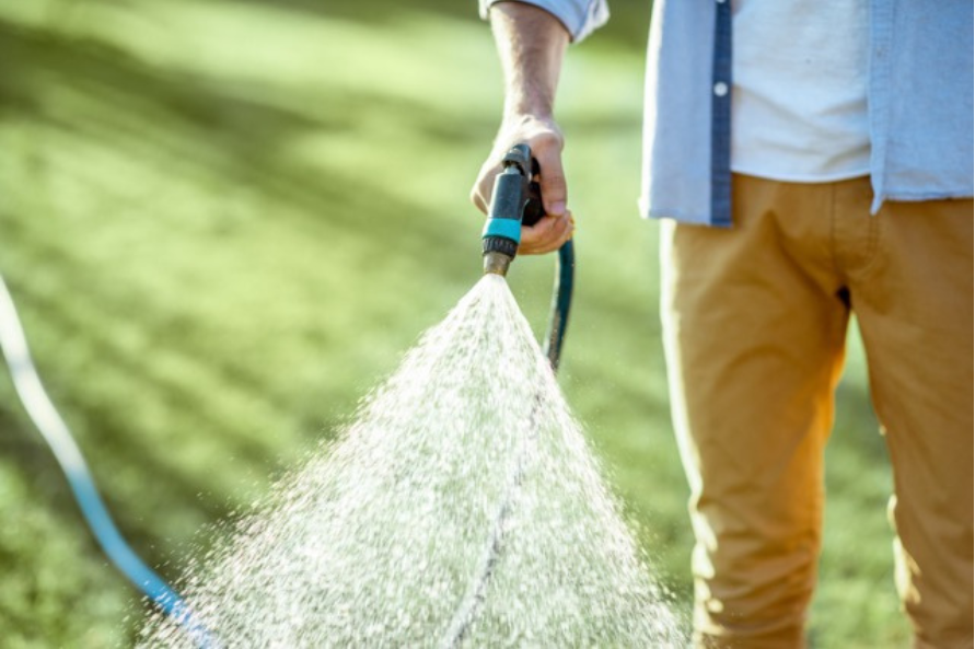 3 Crucial Steps to the Perfect Lawn This Summer