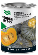 STARK AYRES PUMPKIN QUEENSLAND BLUE 100G Default Title