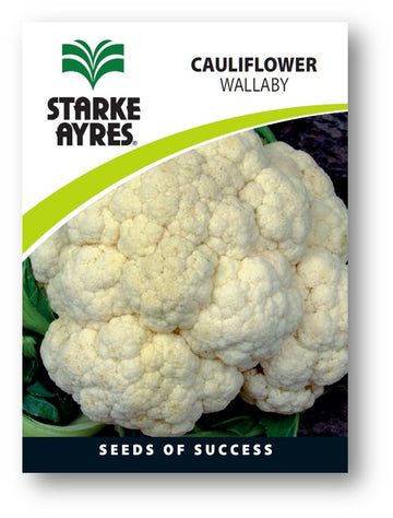 STARK AYRES SEED VEG POLYPACK CAULIFLOWE Default Title