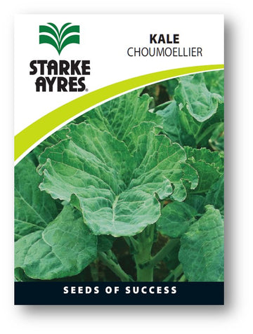 STARK AYRES SEED VEG POLYPACK KALE Default Title