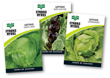 STARK AYRES SEED VEG POLYPACK LETTUCE Default Title