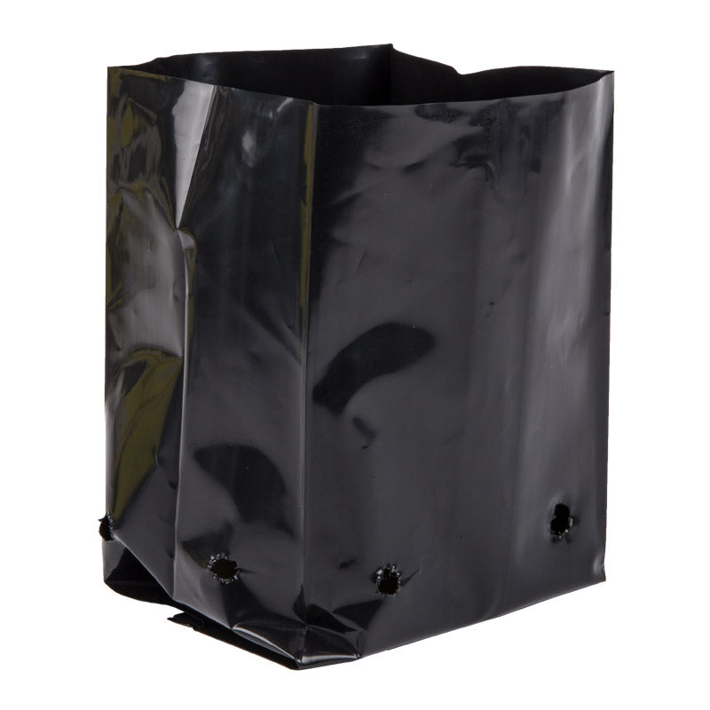 black plastic bag for planting PLANT BAG 175X150X250MM 7L – Hinterland