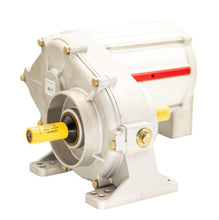 GEAR MOTOR HIGH 25:1 W/TP