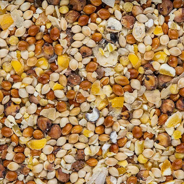 WILD BIRD SEED 5KG DRAKENSBERG
