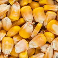 WHOLE YELLOW MAIZE 10KG DRAKENSBERG