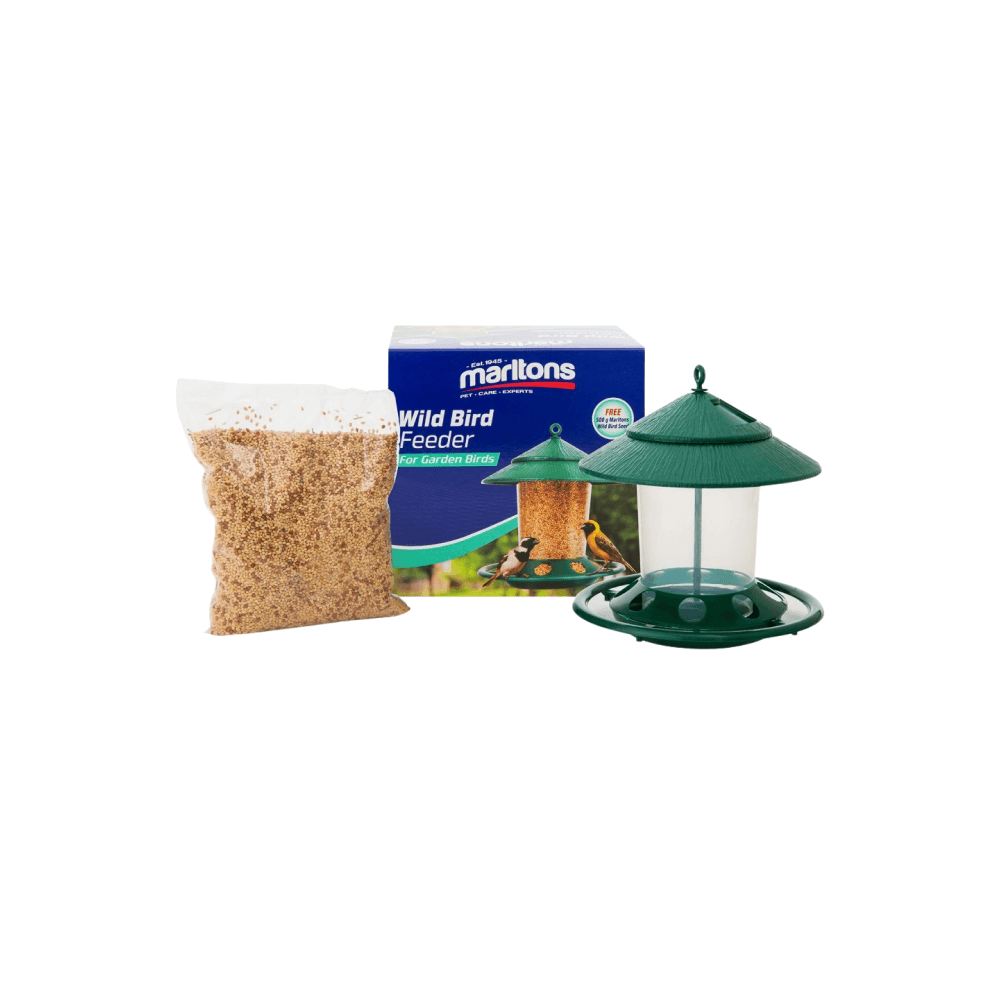 BIRD FEEDER FREE WILD BIRD SEED – Hinterland