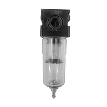 ANI AIR LINE FILTER 1/4" M/100/2