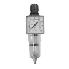 ANI REGULATOR FILTER 1/4" M140/2