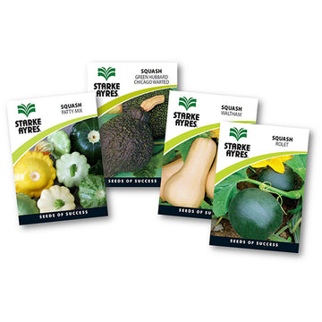 STARKE AYRES SEED VEG POLYPACK SQUASH