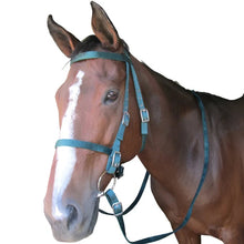 BRIDLE WEB & SNAFFLE SOLO