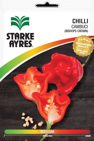 SEED VEG POLYPACK CAMBUCI STARK AYRES