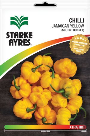 SEED VEG POLYPACK JAMAICAN YELLOW STARK
