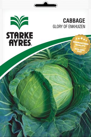 CABBAGE GLORY 100G STARKE AYRES