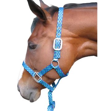 HALTER EVERST & CLIP S SOLO