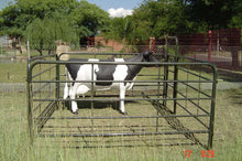 CATTLE KRAAL SIDE (2.250X1.501) TAL-TEC