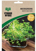 STARKE AYRES POLYPACK MICROGREEN MUSTARD