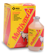 MULTIVAX P 100ML MSD