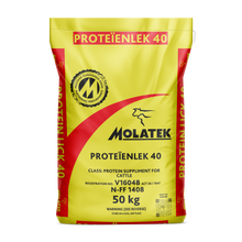 PROTEIN LICK 50KG MOLATEK