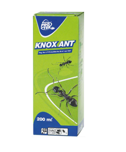 PROTEK KNOX ANT 200ML