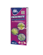 FASCINATE 100ML