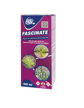 FASCINATE 100ML