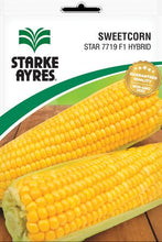 STARKE AYRES ECONO SWEETCORN STAR 7719