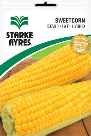 STARKE AYRES ECONO SWEETCORN STAR 7719