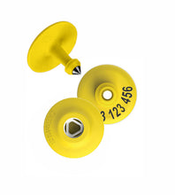 Z-TAG FDX OPEN 25MM YEL (SHEEP) EACH