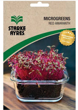 STARKE AYRES POLYPACK MICROGREEN AMARANTH