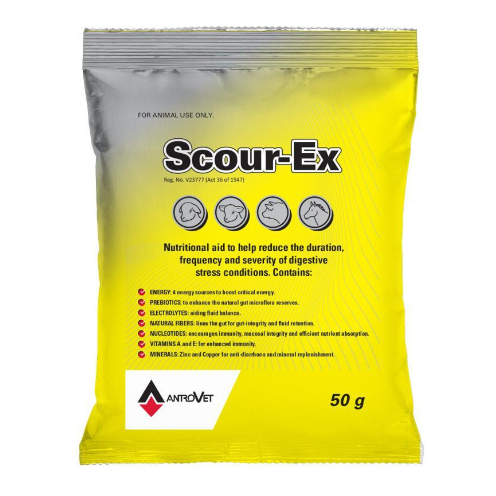 HLT SCOUR-EX 50G ANTROVET – Hinterland