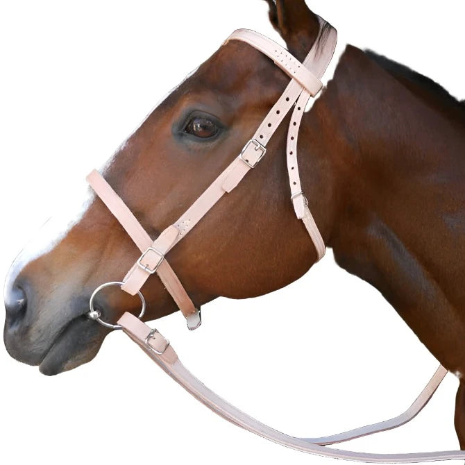 2023 BRIDLE POROSUS / TONGUE BK×LVA 新品 BRIDLE FARM (NO BIT) SOLO – Hinterland