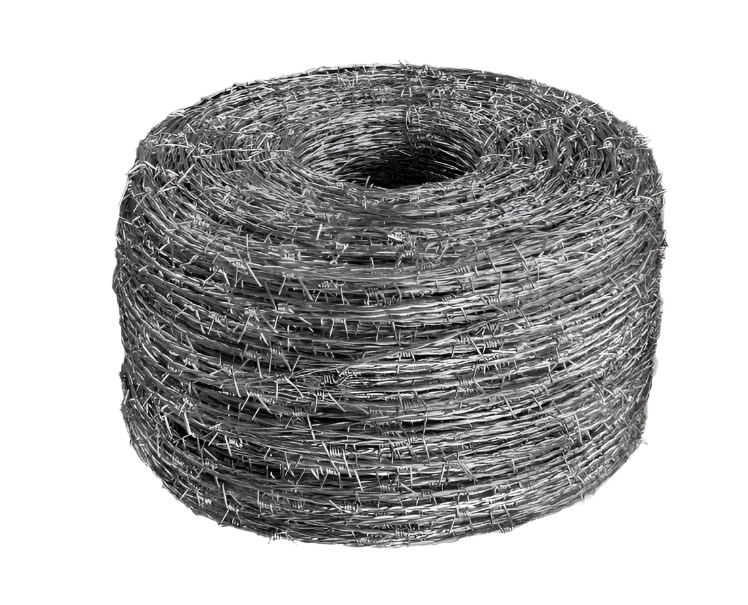 BARBED WIRE SINGLE 2.8 X 1.9 X 845 (LG) – Hinterland