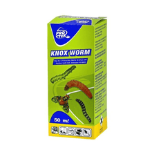 PROTEK KNOX WORM 100ML