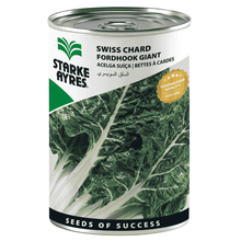 STARKE AYRES SWISS CHARD GIANT 500G