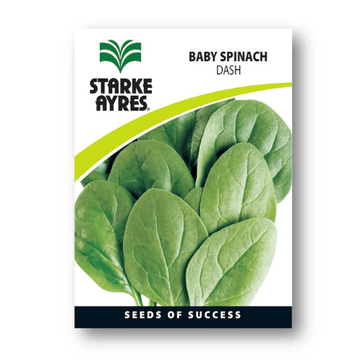 STARKE AYRES SEED VEG POLYPACK SPINACH