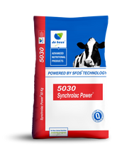 SYNCHROLAC DAIRY 21% PELLETS 50KG DE HEUS