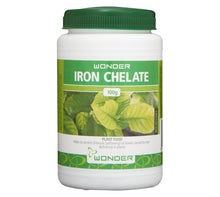WONDER IRON CHELATE 100G