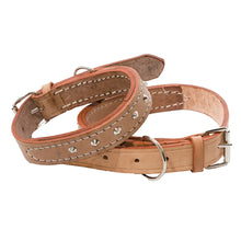 HEAVY DUTY STUDDED COLLAR