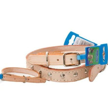 STUDDED DOG COLLAR MARLTONS